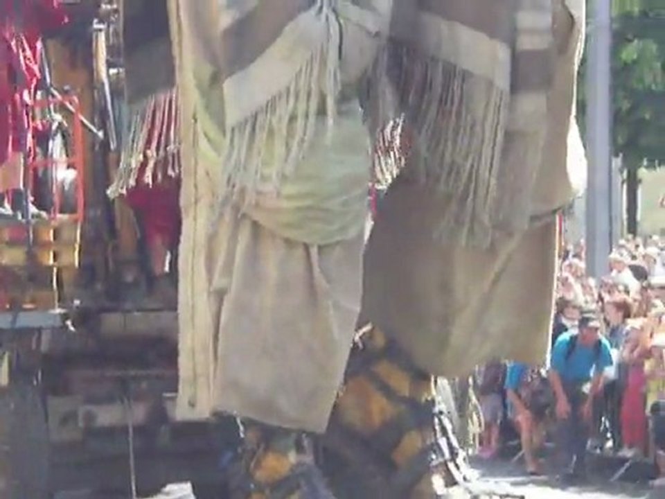 IMGP7351