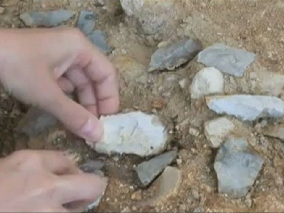 Planet Wissen - Evolution des Menschen 3_6