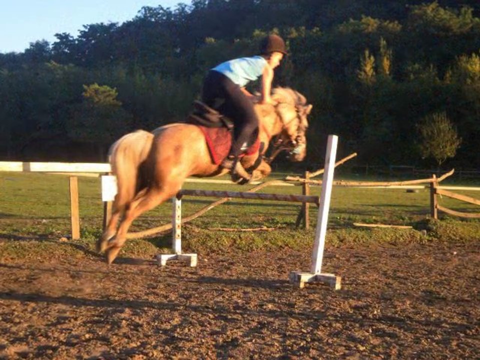 l'ecurie de laroche 2