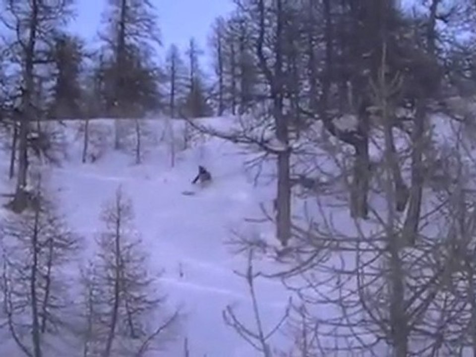 Free Ski