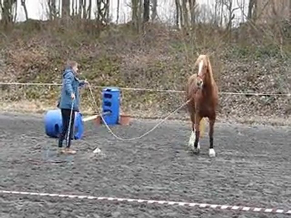 2012-03-11 Equifeel Sylvie essuie glace