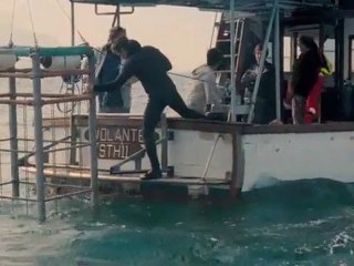 Dark Tide - Clip Shark Alley