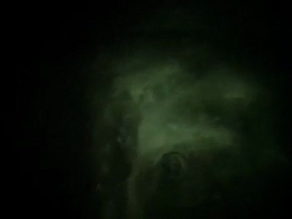 Lovely Molly - Clip Floor Boards