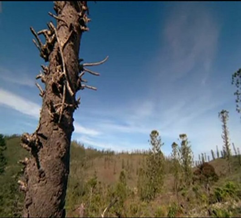Caminando entre Dinosaurios 1 sangre nueva