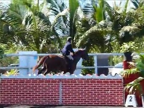 Nickel & Vanille - 110 vitesse