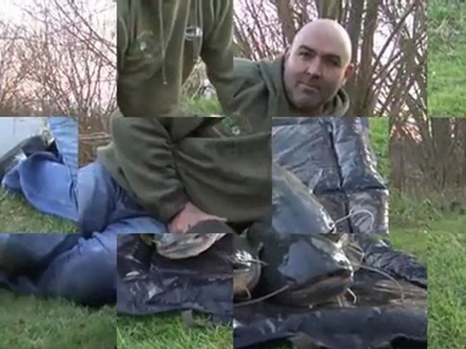 Catfish Stocked at Lillypool