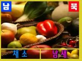 재미있는 북한말 2 - Difference between South Korean vocabulary and North Korean vocabulary 2