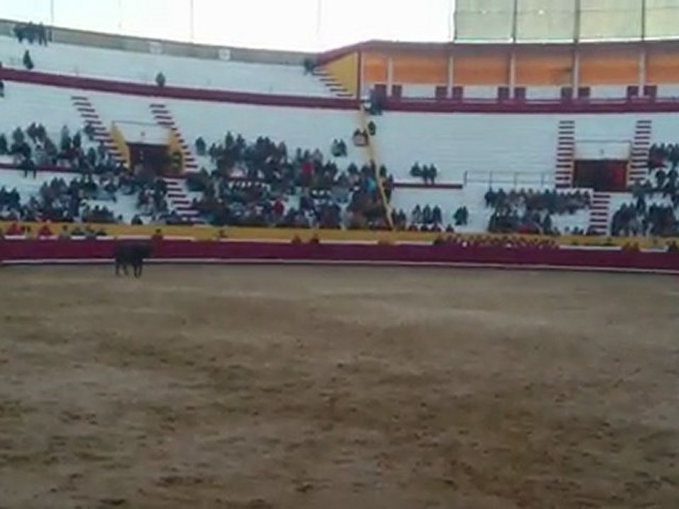 MOV_0066