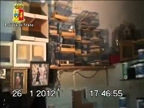 Afragola (NA) - Traffico illegale di animali (26.01.12)