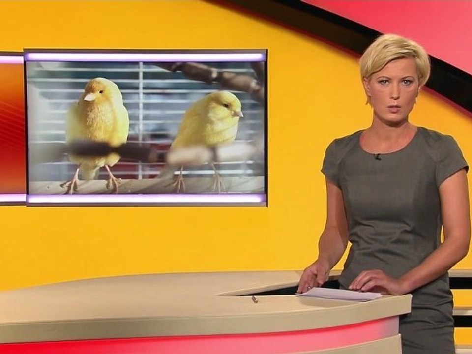 Kamilla Senjo  14.02.2012