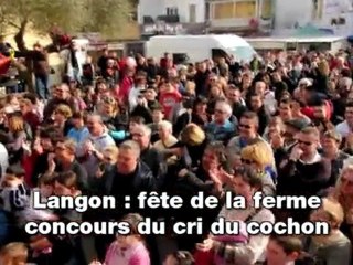 Langon: fête de la ferme