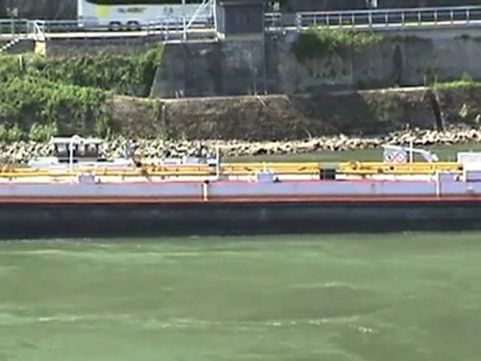 Rheinschiffe zwischen Loreley und Oberwesel