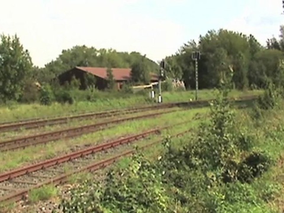 Angertalbahn (Kalkbahn) Flandersbach, Ludmilla BR232, 2x Europorte Mak G1206