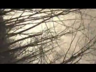 L'ARTISTE DU MARAIS UN FILM DE JEAN-FRANÇOIS DUPUIS