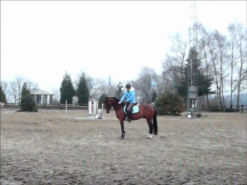 Vidéo de dressage avec Chilli
