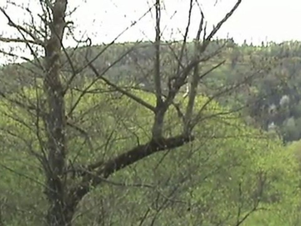 Trains at the Hollericher Tunnel beside the river Lahn