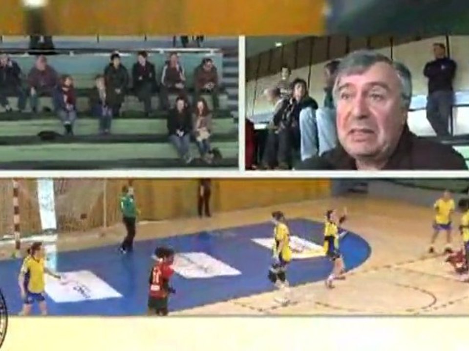 Handball N2F : La Roche Sur Yon - Montluçon (25 à 23)