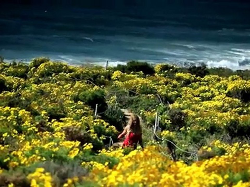 Andy - Che Ehsas Ghashangi