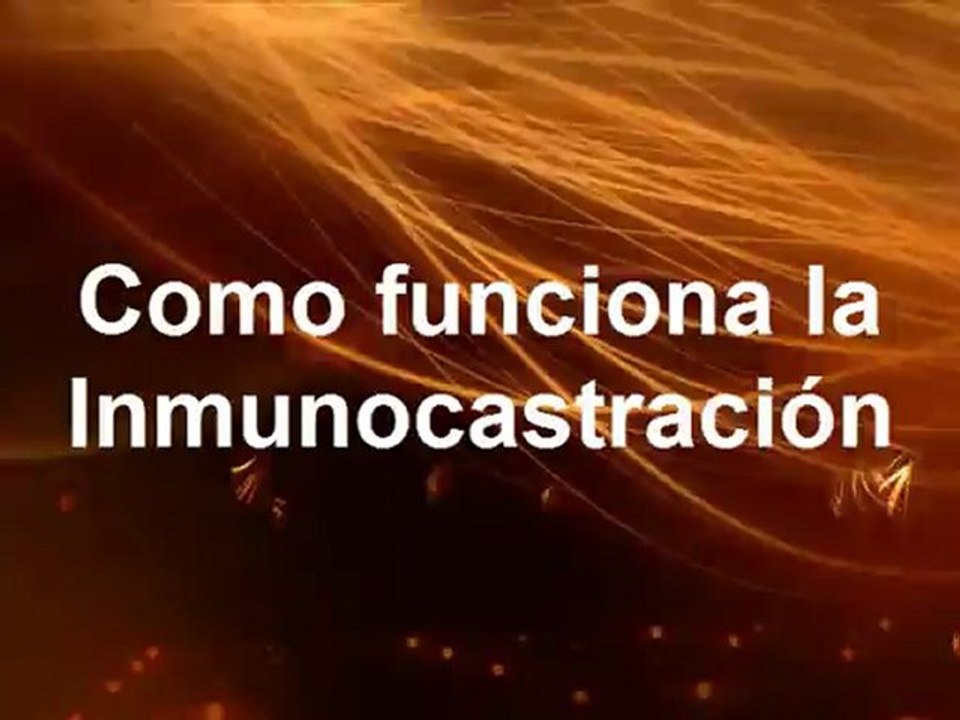 inmunocastracion