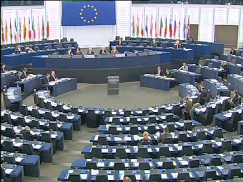 Norica Nicolai on Enlargement report for the former Yugoslav Republic of Macedonia