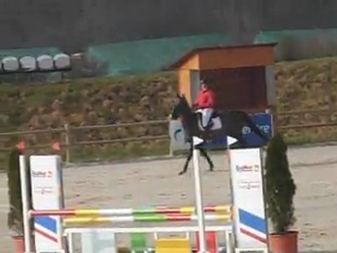 Udelia du Lary CC CSO Sandillon mars 2012 1er jour