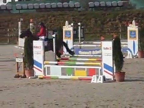 Udelia du Lary CC CSO Sandillon mars 2012 2ème jour