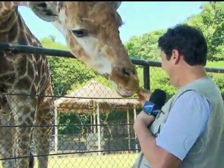 Vídeo Show 13-03-2012 Parte 2 Programa de terça-feira