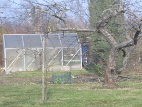 A2-B2 Hörverstehen Apfelbaum