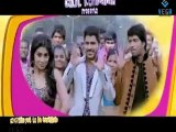 Nuvva Nena - Vayyaru Black Berry Official Video Song, Hot Shriya With Sharwanand And Naresh