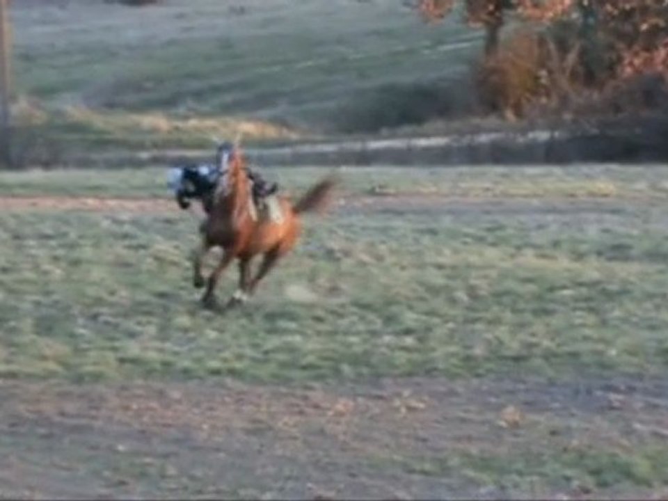 chute syska