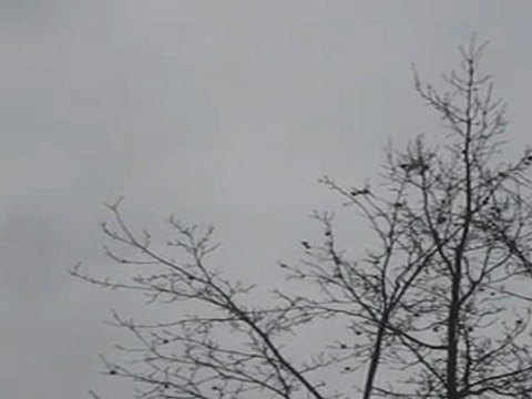 B2-DSH-Vorbereitung Textproduktion zum Thema Lärm