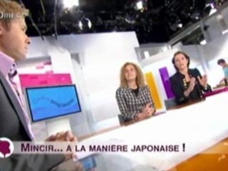 Iyashi-dome-france2-mars-2012