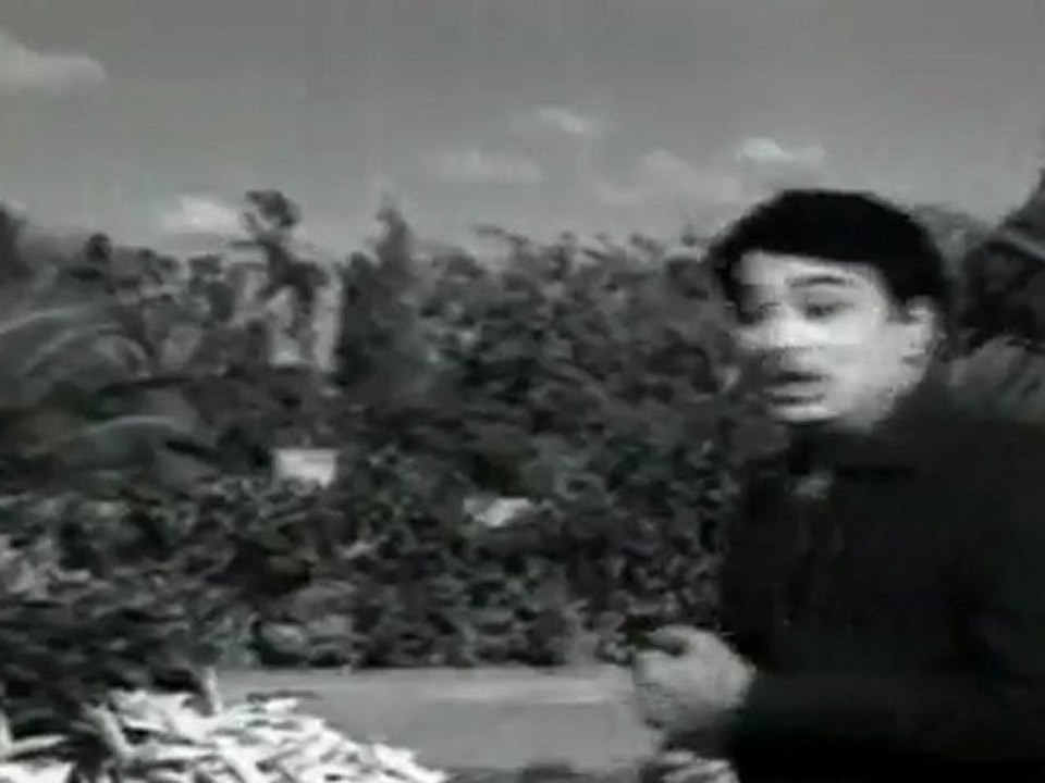 Ther Thiruvizha - Chiththaadi Kattiyirukku| TMS|Susheela Hit Song