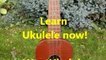 hawaiian ukulele chords tutorial