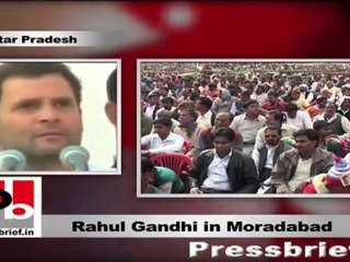 Rahul Gandhi in Moradabad: I want nothing except your trust