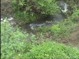 yalan dünyaya geldim geleli