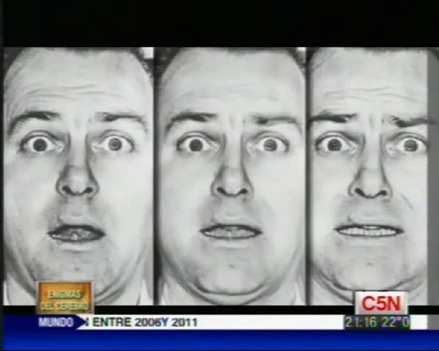 Emociones basicas: Paul Ekman