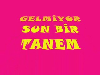 GELMİYOERSUN BİR TANEM KLİP