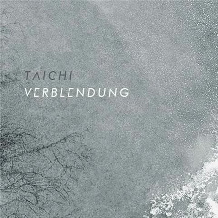 Taichi - Verblendung Amazon.de Snippet