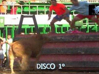 Trailer  Del nuevo Dvd  Desafios y Vacas de la 4ª parte dvd 1º