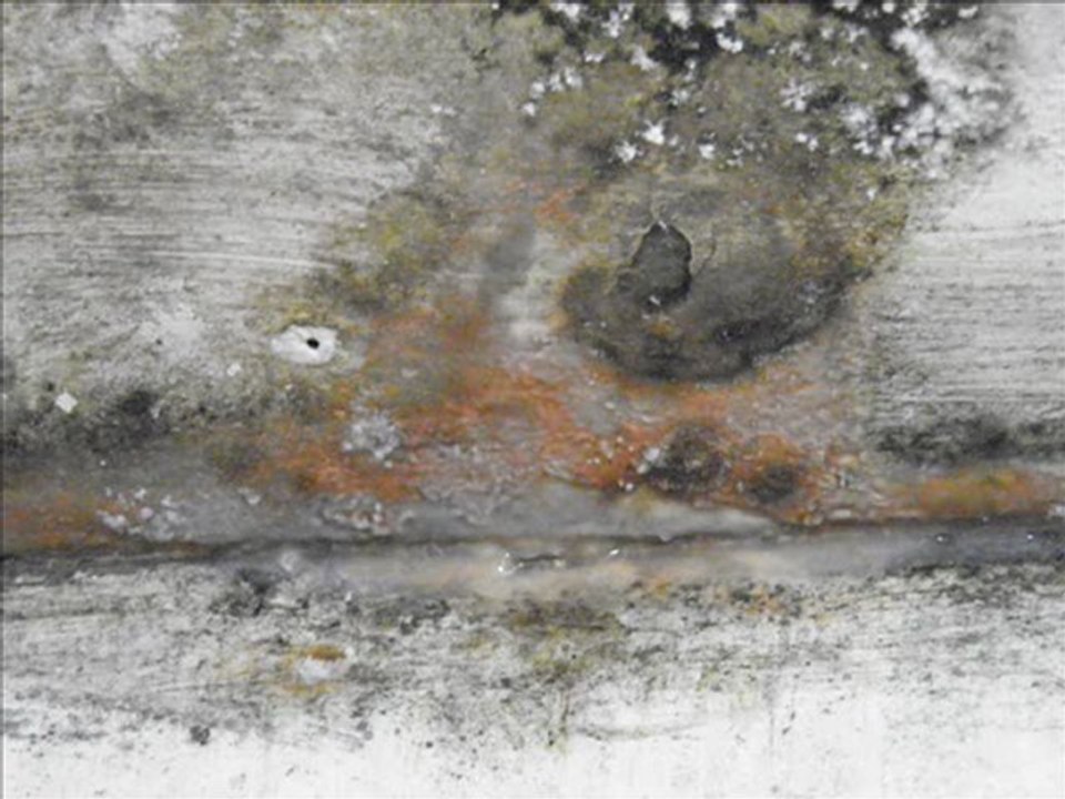 תנאי "החיים" של דיירי עמידר