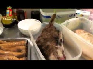 Mestre (VE) - Escrementi nel ristorante cinese (14.03.12)