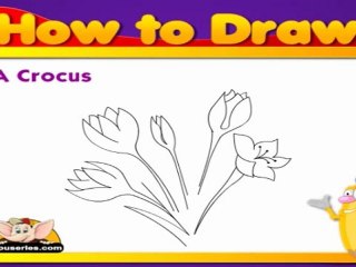 Learn to Draw Flower - Draw a Crocus