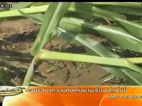 เรื่องเล่าเช้านี้-15-มี.ค-55 (1-9)