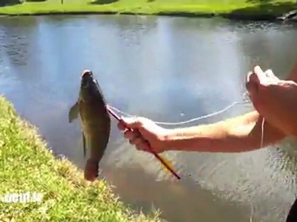 Il pêche avec une arbalète