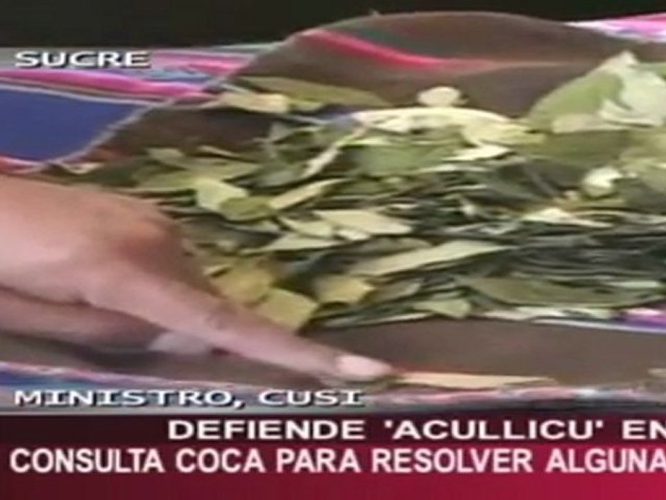 Un juez usa hojas de coca para dictar sentencia