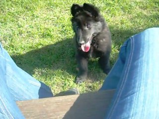 15 mars 2012 : Happy, 9 semaines