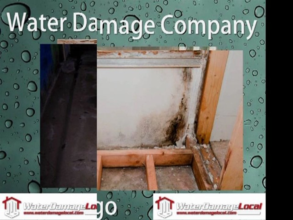 Water Damage Company  San Diego