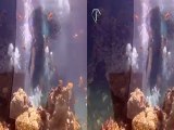 3D Underwater Photoshoot in Eilat with F Vodka | FashionTV