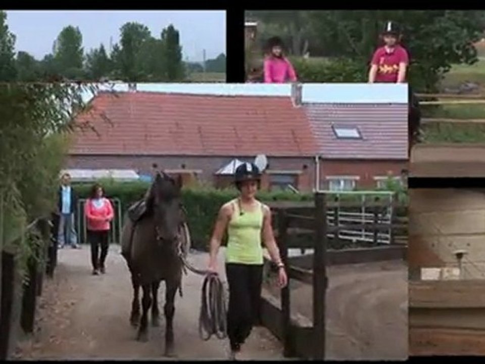 Ecurie de la passion - Centre équestre Ath